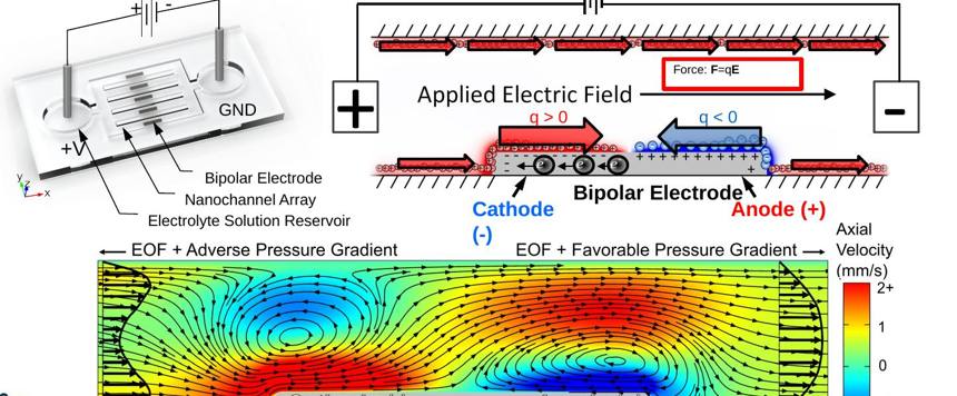 Bipolar electrode in a nanochannel array and simulated induced-charge electro-osmotic flow