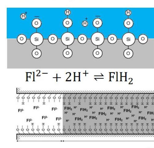 Silanol groups on a fused-silica channel wall and fluorescein quenching during capillary filling